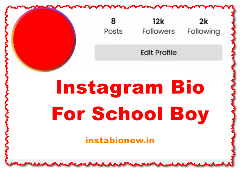 Instagram Bio For School Boy